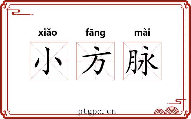 小方脉 小方脉