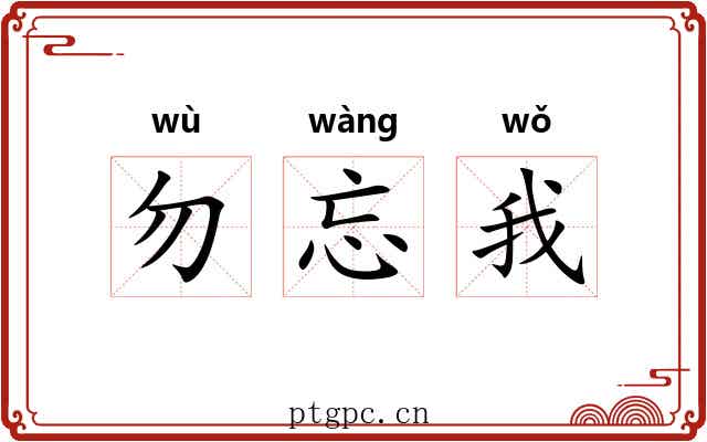 勿忘我