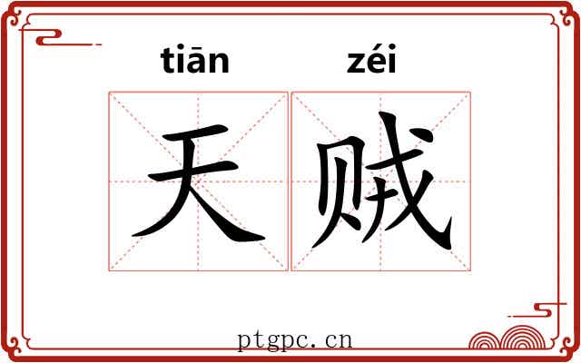 天贼