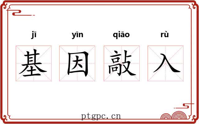 基因敲入