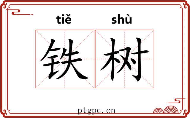 铁树