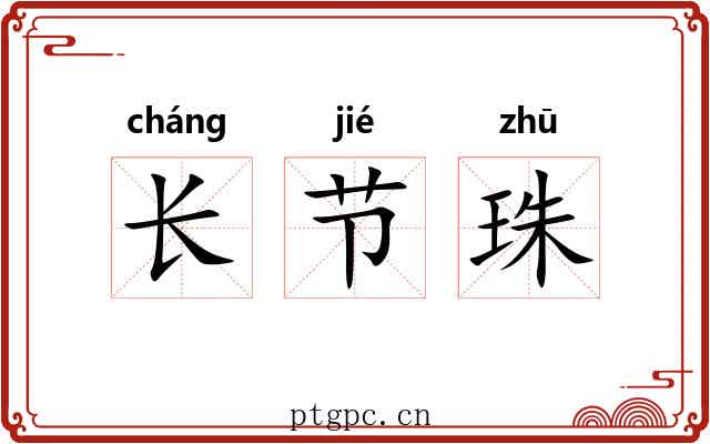 长节珠 长节珠