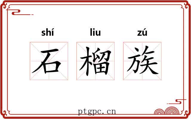 石榴族 石榴族