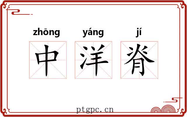 中洋脊