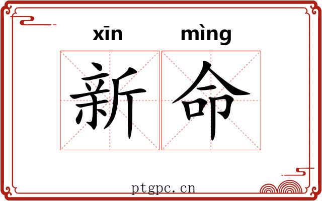新命