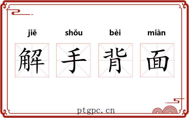 解手背面 解手背面
