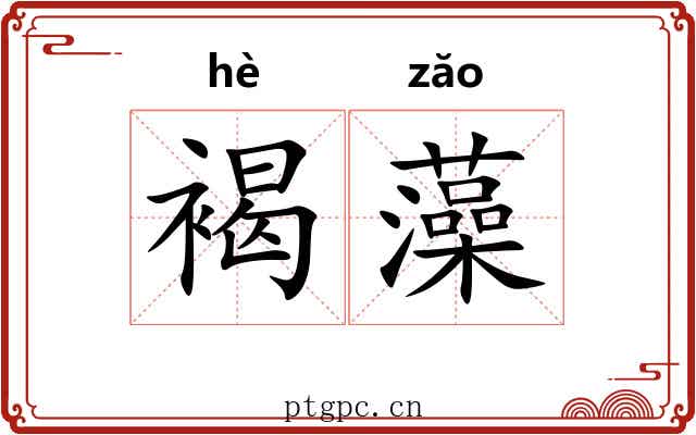褐藻