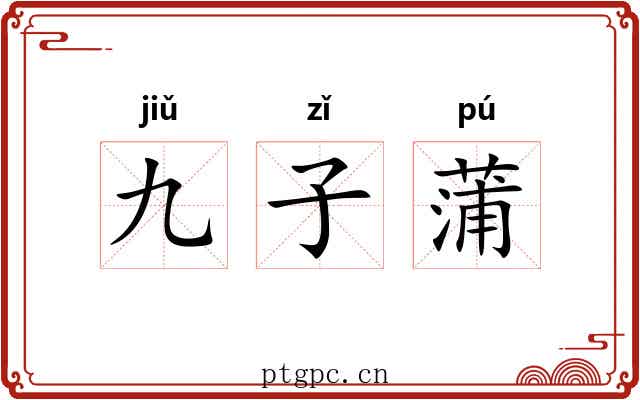 九子蒲
