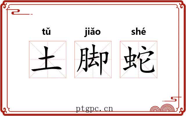 土脚蛇 土脚蛇