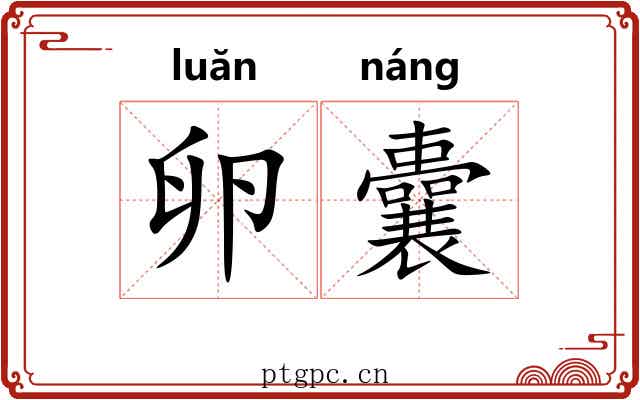 卵囊