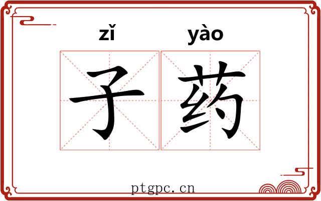 子药 子药