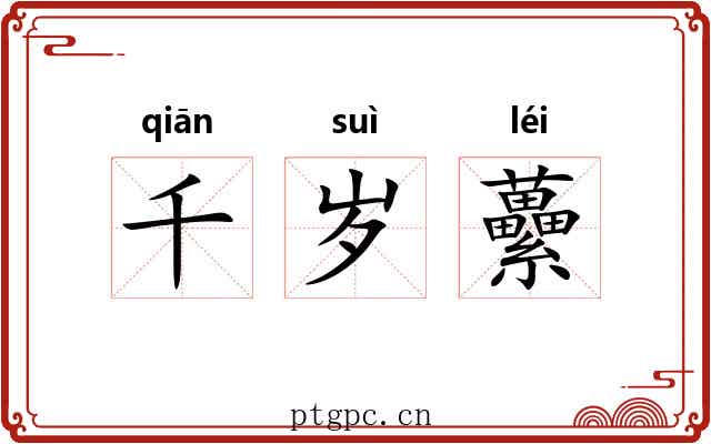 千岁虆