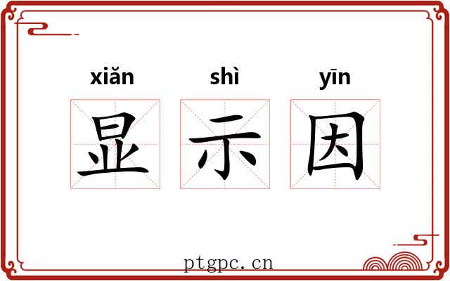 显示因