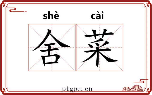 舍菜