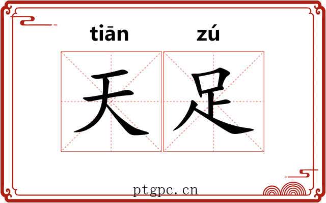 天足