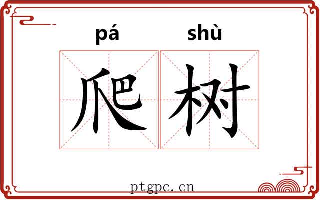 爬树