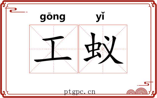 工蚁