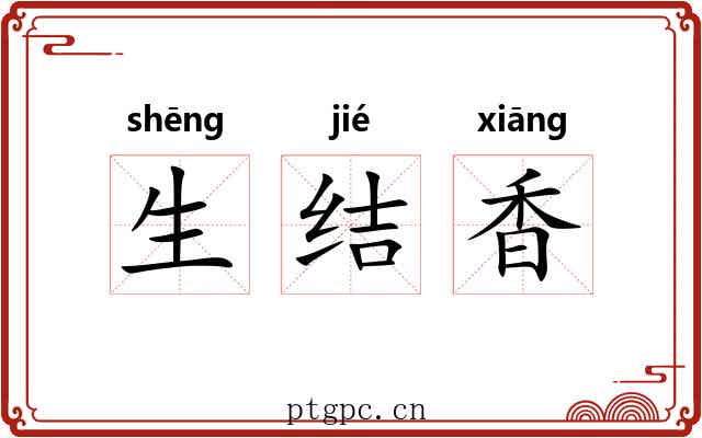 生结香 生结香