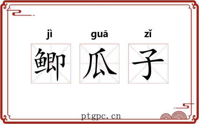 鲫瓜子