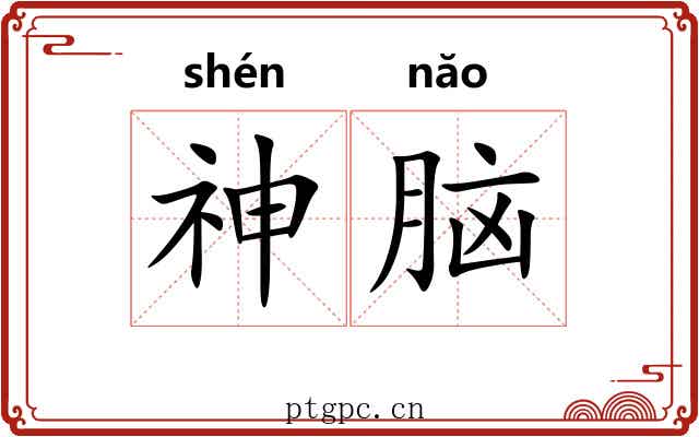 神脑