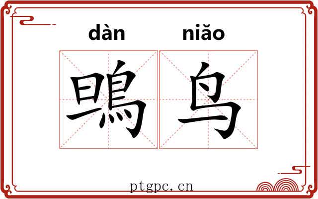 鴠鸟