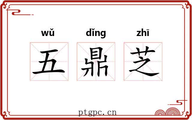 五鼎芝 五鼎芝