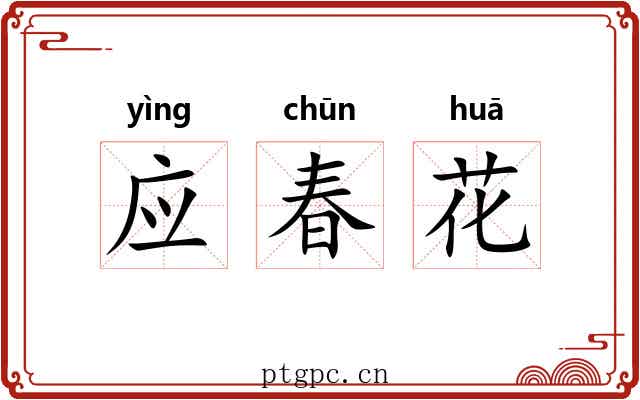 应春花 应春花