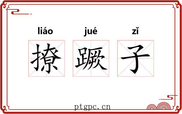 撩蹶子 撩蹶子