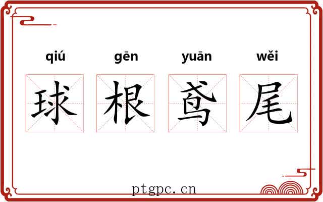 球根鸢尾