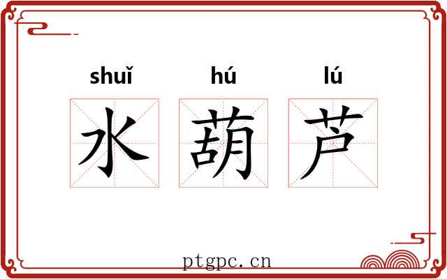 水葫芦