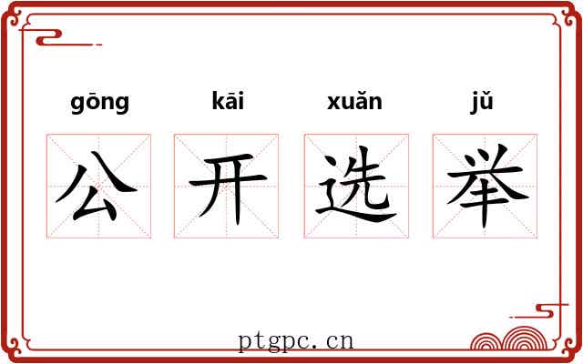 公开选举