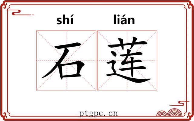 石莲 石莲