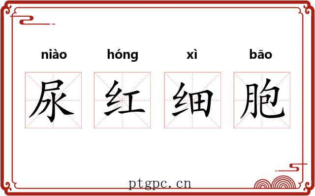 尿红细胞
