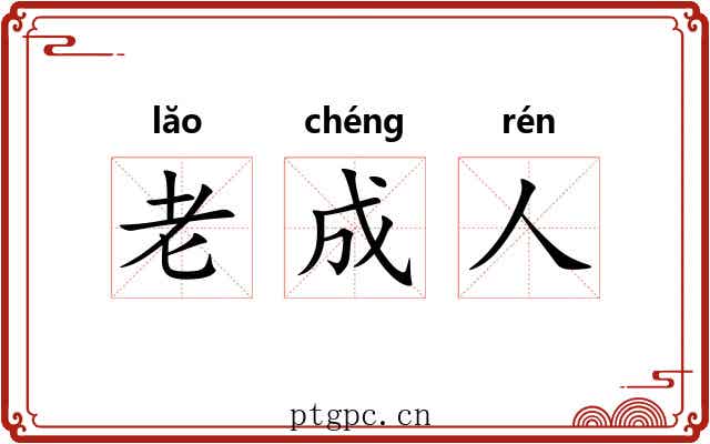老成人 老成人
