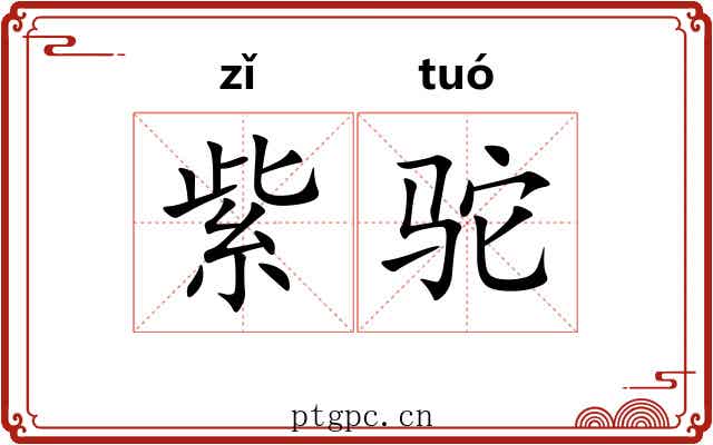 紫驼