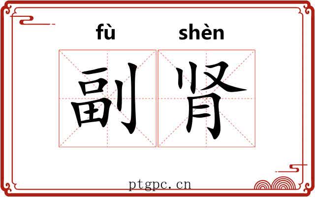 副肾