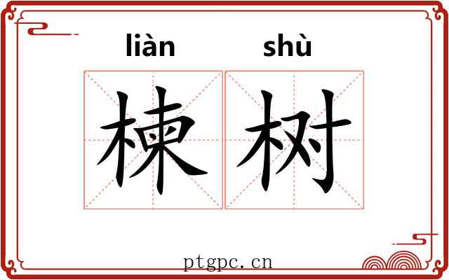 楝树