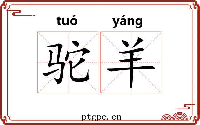 驼羊