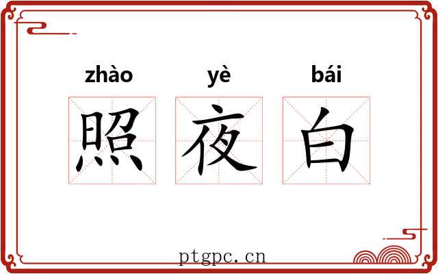 照夜白