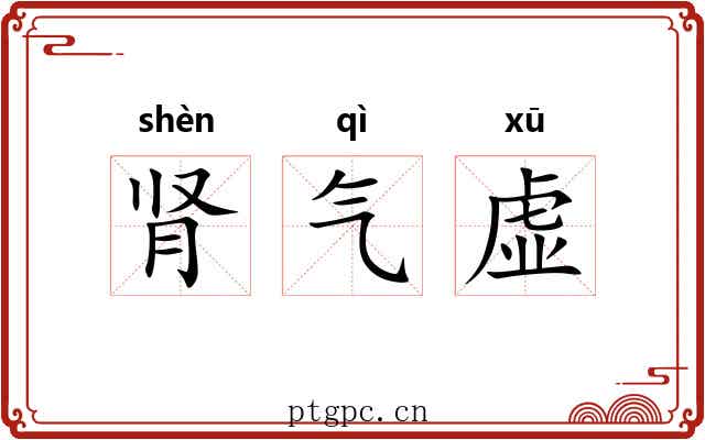 肾气虚 肾气虚