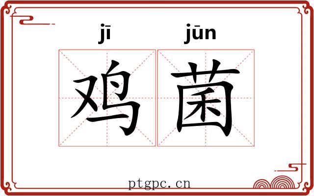 鸡菌