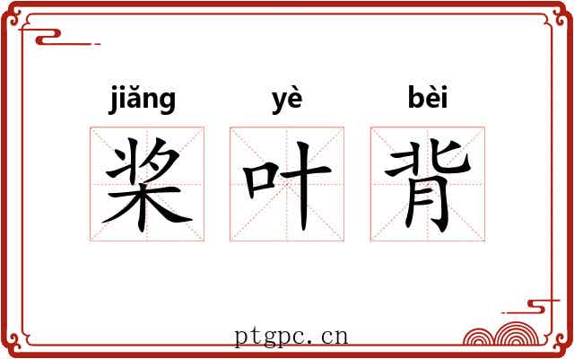 桨叶背