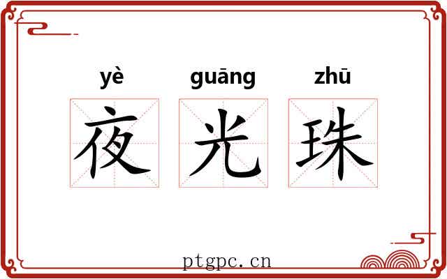 夜光珠 夜光珠