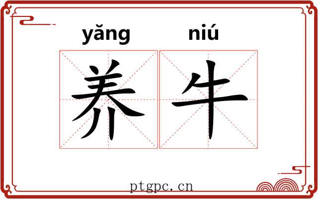 养牛 养牛