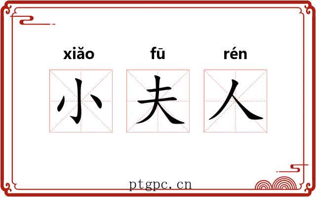 小夫人