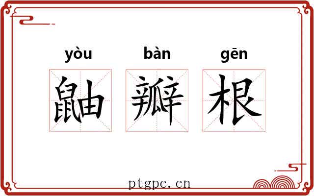 鼬瓣根