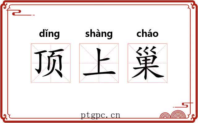 顶上巢 顶上巢