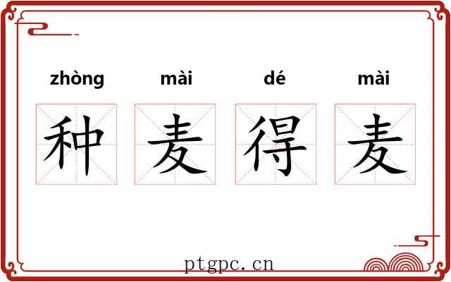 种麦得麦