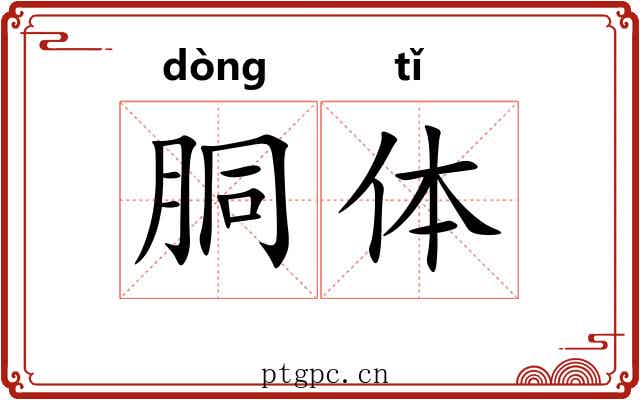 胴体
