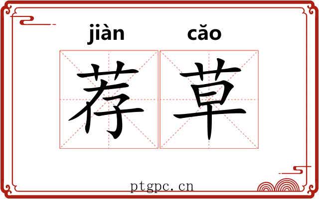 荐草 荐草